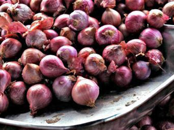 পেঁয়াজ রপ্তানি বন্ধ ঘোষণা করল ভারত