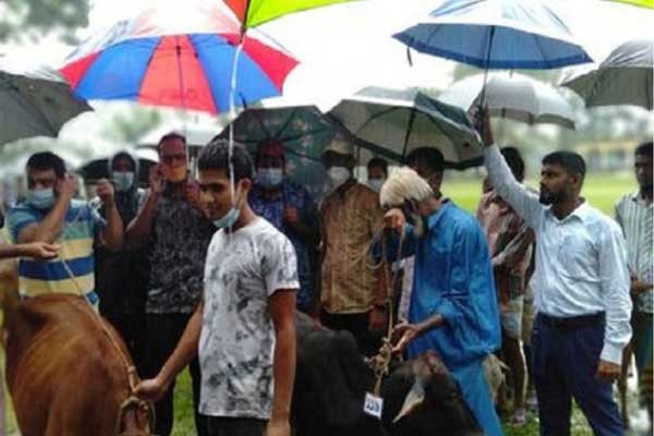 নাগেশ্বরীতে দরিদ্র জনগোষ্ঠিকে গরু প্রদান