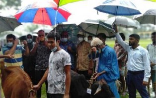 নাগেশ্বরীতে দরিদ্র জনগোষ্ঠিকে গরু প্রদান
