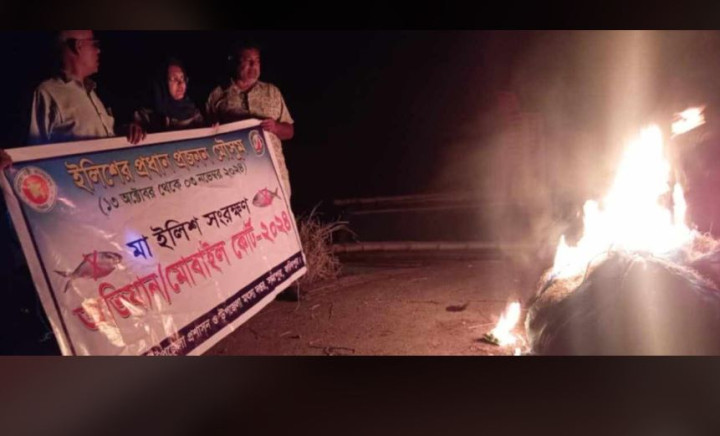 নিষেধাজ্ঞা অমান্য করে ইলিশ ধরায় দুই জেলের কারাদণ্ড