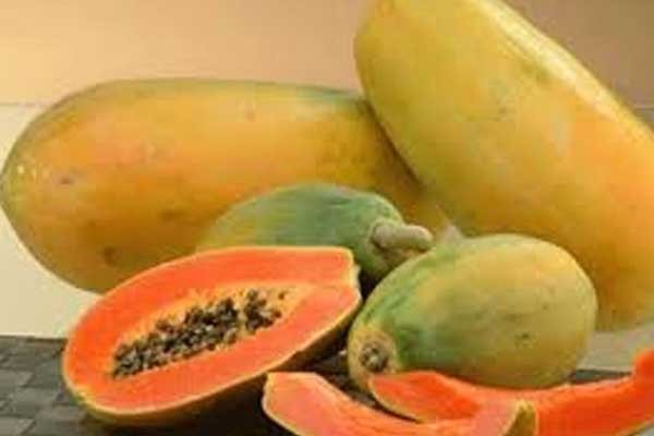 পেঁপের নমুনা পরীক্ষায়ও ‘করোনা পজিটিভ’!