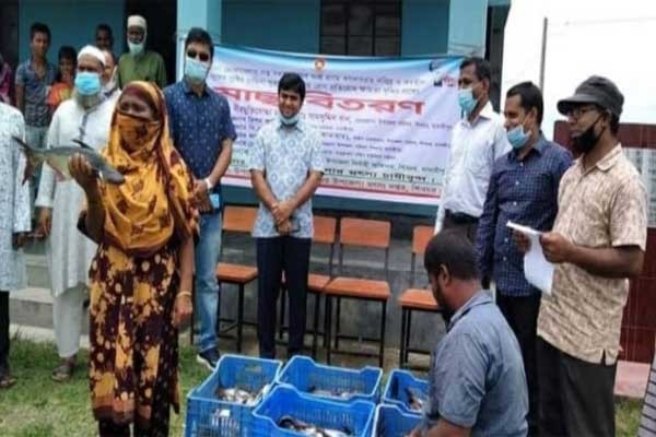 শিবচরে গুচ্ছগ্রাম বাসীদের মাঝে মাছ বিতরণ