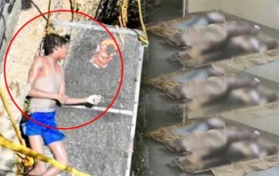 এক নারীর হত্যাকাণ্ড চাপা দিতে ৯ খুন!
