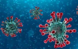 যা করলেই সহজেই ঠেকানো যাবে করোনার হানা