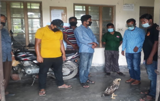 সাতক্ষীরায় সেভ ওয়াইল্ড লাইফের বাজ পাখি উদ্ধার