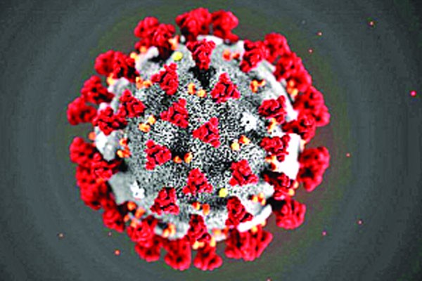 নারায়ণগঞ্জে ২৪ ঘন্টায় আক্রান্ত আরও ১০৪, মৃত্যু ২