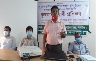 ঝিনাইদহে তিন দিন ব্যাপি কৃষক প্রশিক্ষণ শুরু