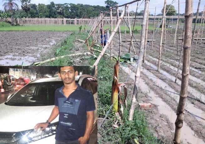 তালায় পানের বরজের ক্ষতি সাধন, থানায় অভিযোগ দায়ের 