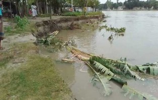 নদী ভাঙ্গনে দিশেহারা চরের গ্রামবাসী: পাশে দাঁড়িয়েছে আল ইকরাম ফাউন্ডেশন 