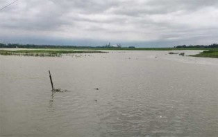 যমুনা নদীর পানি বিপদসীমার ওপর দিয়ে প্রবাহিত