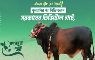 সরকারি উদ্যোগে ‘কুরবানির পশুর ডিজিটাল হাট’