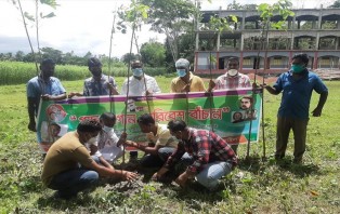 নড়াগাতী থানা যুবলীগের মাসব্যাপী  বৃক্ষরোপন কর্মসূচির শুভ উদ্ভোধন 