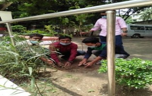 জবিতে ছাত্রলীগ নেতার বৃক্ষরোপণ