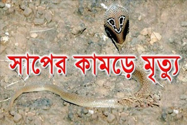 চরভদ্রাসনে সাপের কামড়ে গৃহবধূর মৃত্যু