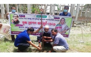 মুজিববর্ষ উপলক্ষে সাবেক এমপি জুয়েল চৌধুরীর বৃক্ষরোপণ 