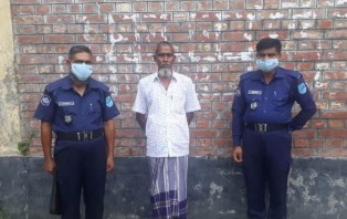 সালথায় গাঁজার গাছসহ একজন আটক