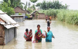 বন্যায় প্রায় ৩৪৯ কোটি টাকার ফসলের ক্ষতি : কৃষিমন্ত্রী