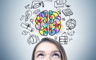 নতুন গবেষণা দ্বিতীয় মস্তিষ্ক কীভাবে কাজ করে