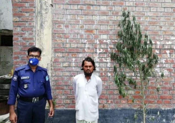 সালথায় গাঁজার গাছসহ আটক ১