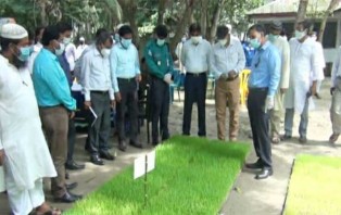 ভাসমান বীজতলায় চারা রোপন, কৃষি মন্ত্রণালয়ের সচিবের পরিদর্শন