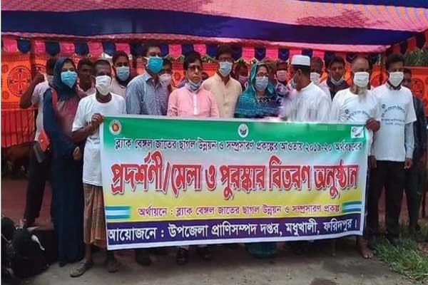 মধুখালীতে ব্ল্যাক বেঙ্গল ছাগলের প্রদর্শনী