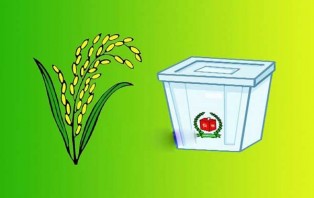ঢাকা-৫ ও নওগাঁ-৬ আসনে বিএনপির প্রার্থী চূড়ান্ত