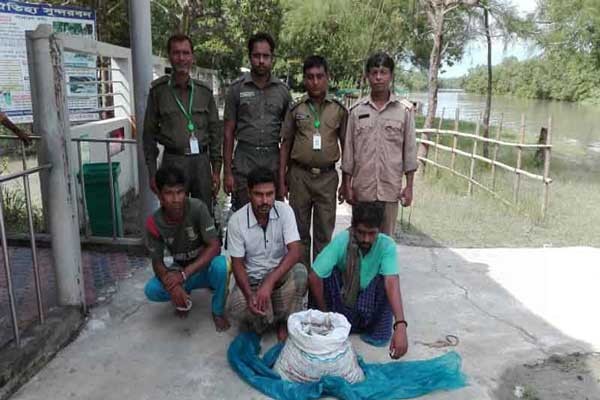 সুন্দরবনে কীটনাশক ছিটিয়ে মাছ ধরার সময় আটক ৩