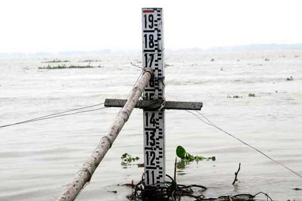 যমুনায় পানি বাড়ছে, ডুবছে ফসলভরা জমি