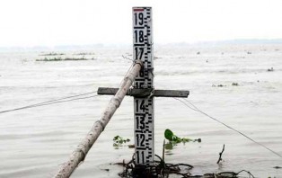 যমুনায় পানি বাড়ছে, ডুবছে ফসলভরা জমি