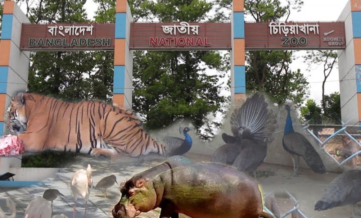 বিনামূল্যে জাতীয় চিড়িয়াখানা দর্শনের সুযোগ