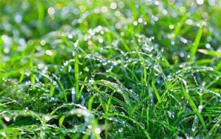 আজ তাপমাত্রা কমতে পারে রাজধানীতে