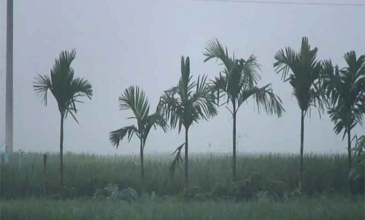 মৌসুমের সর্বনিম্ন তাপমাত্রা তেঁতুলিয়ায়