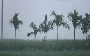 মৌসুমের সর্বনিম্ন তাপমাত্রা তেঁতুলিয়ায়