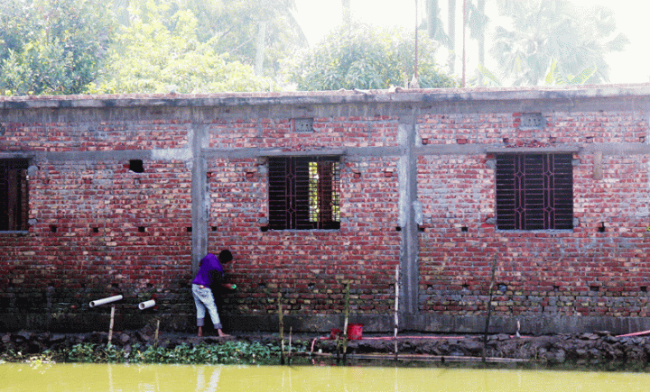 মসজিদের জায়গায় প্রভাবশালীর বিল্ডিং, পুকুর দখল করে করছেন মাছচাষ