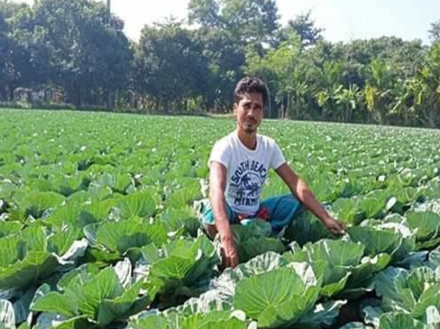 শীতের হিমেল হাওয়ায় উঠতে শুরু করেছে শীতকালিন সবজি
