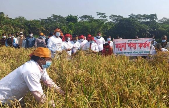 মাঠে গিয়ে ধান কাটলেন জেলা প্রশাসক