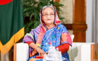কৃষিক্ষেত্রে ব্যাপক উন্নয়ন বিশ্বের নজর কেড়েছে: প্রধানমন্ত্রী