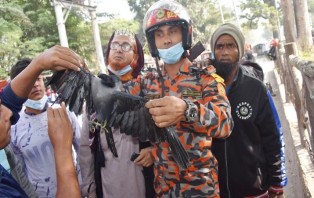  গাছের ডালে সুতোয় আটকে গেল কাক, ২৪ ঘণ্টা পর উদ্ধার করল ফায়ার সার্ভিস