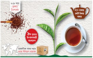চায়ের উৎপাদন বেড়েছে তিন গুণ