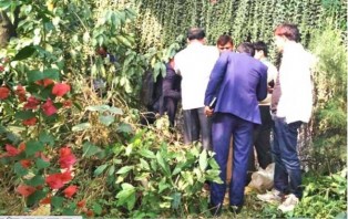 ফুল বিক্রেতা কিশোরীকে ঝোপের মধ্যে নিয়ে ধর্ষণ!
