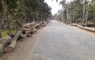 সালথায় মহাসড়কের দুই পাশে গাছ ফেলে রাখায় যানবাহন দূর্ঘটনার আশংকা