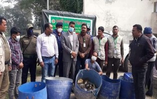 মাদারীপুরে ৩৭ টি কচ্ছপ উদ্ধার, একজনকে ৬ মাসের সাজা