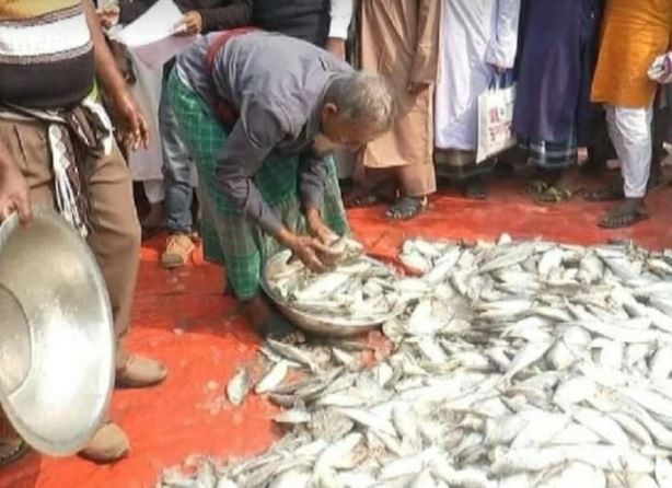 মাদারীপুরে ৭শ’ ৫০ কেজি জাটকা জব্দ