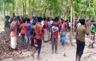 নির্জন বাগানে বিধবার সঙ্গ পেতে প্রাণ হারালেন পলাশ