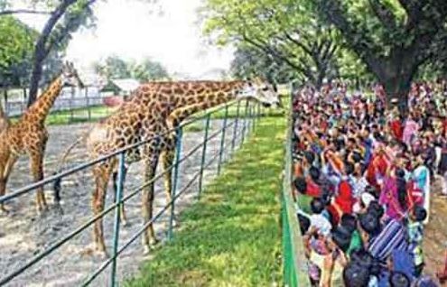 মিরপুর চিড়িয়াখানাও বন্ধ ঘোষণা