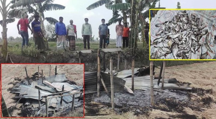 পূর্ব শত্রুতার জের ধরে অগ্নিসংযোগ ও বিষ প্রয়োগে লক্ষাধিক টাকার ক্ষতি