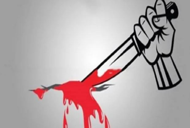 কুলিয়ারচরে মাদকাসক্ত নাতির হাতে নানি খুন