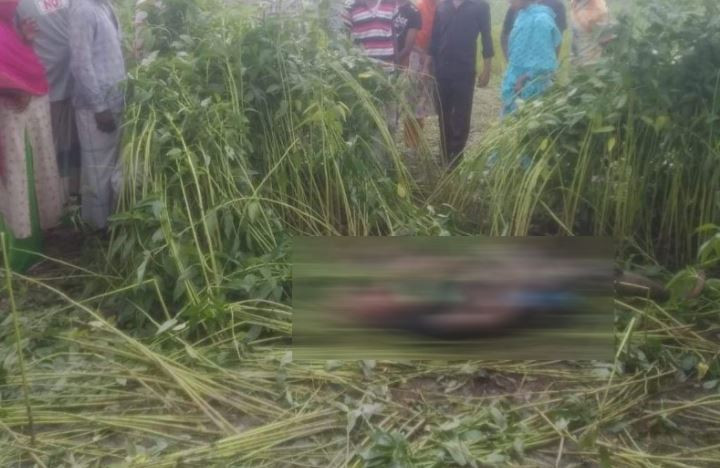 সাভারে ধইঞ্চা ক্ষেতে মিললো দুই যুবকের রক্তাক্ত লাশ