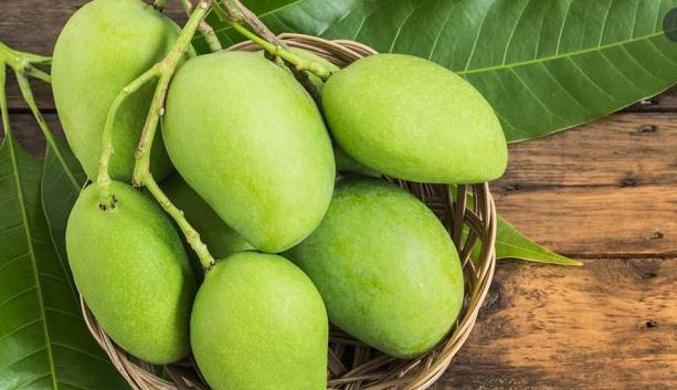 প্রধানমন্ত্রীর পক্ষ থেকে নরেন্দ্র মোদিকে ৬৫ মণ আম উপহার