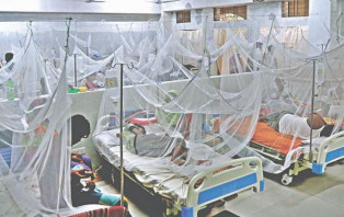 ২৪ ঘণ্টায় সর্বোচ্চ সংখ্যক ডেঙ্গু রোগী হাসপাতালে